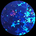 Blue Holo Bows