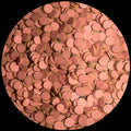 Pink Conchas