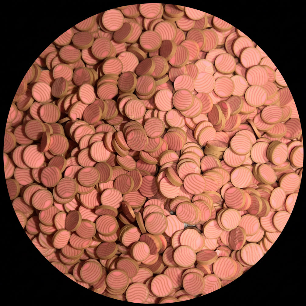 Pink Conchas