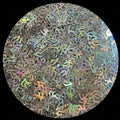 Silver Lv