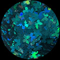 Turquoise Holo Butterfly