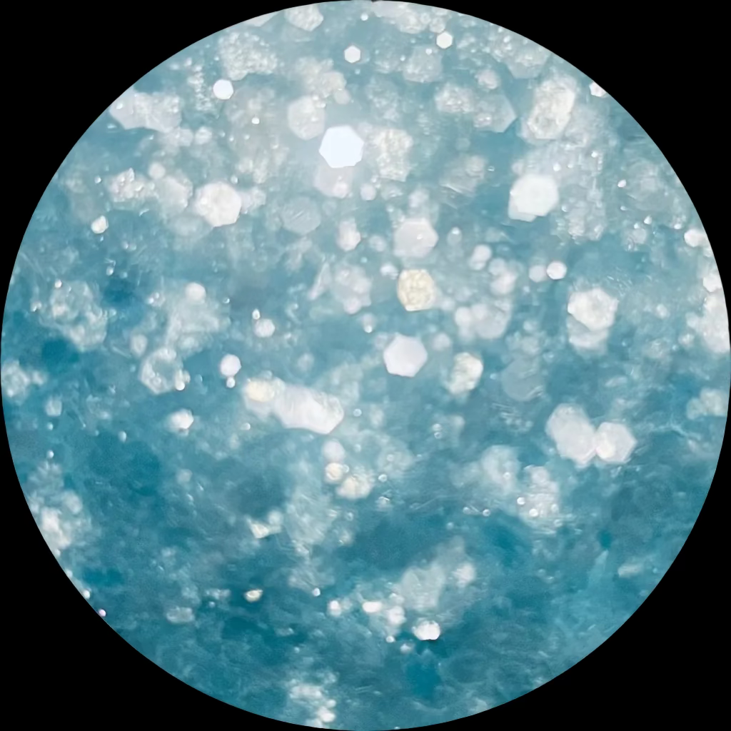 Elsa Chunky
